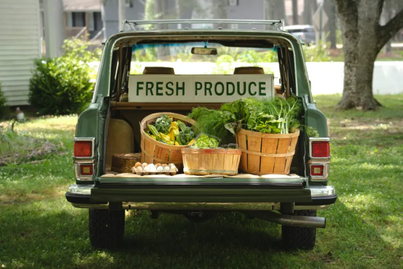 Verduras Frescas